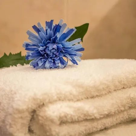 Al Pipai 아파트 *